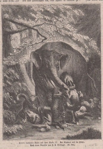 Orig holzstich der elephant - orig.,