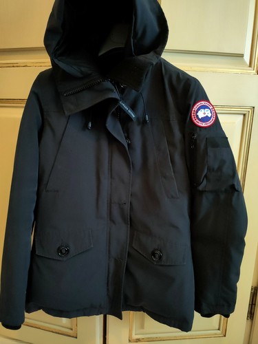 Canada goose montebello - goose,