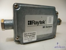 Raytek MI Elektronikbox