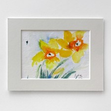 Bild Narzissen 18x13cm in Kartonrahmen weiß 24x18cm, Pfingstrose rückseitig OVP!