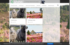 heide-magazin.de Domain