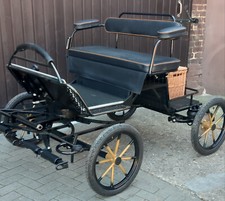 Buggy - Minishetty/Shetty - 16