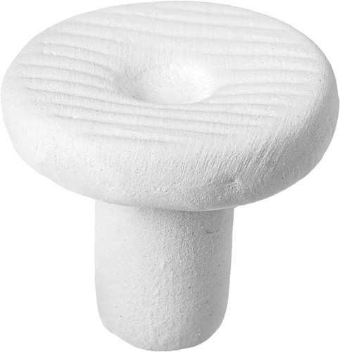 Korallen ablegersteine mm - korallen, 21