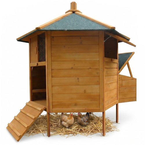 Hühnerstall gefügelstall - hühnerstall,