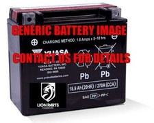 Lithium-Ion 2.0 Battery For