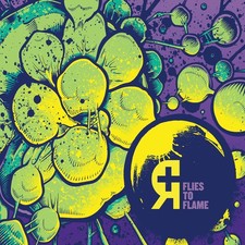 Rosetta Flies To Flames (CD)