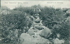 Ansichtskarte  Dahlem Steglitz Königl. Botanischer Garten Wasserfall Alpenan-II