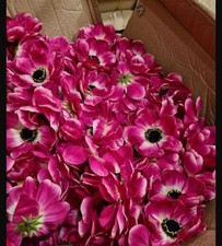 Blumenköpfe Anemonien