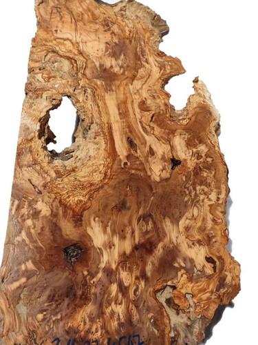 Oliven wurzelholz holz - wurzelholz, für
