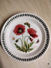Portmeirion Teller Botanischer Garten 22 cm  Papaver Rhoeas Puppy Mohn