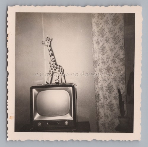 Giraffe auf röhrenfernseher - auf,