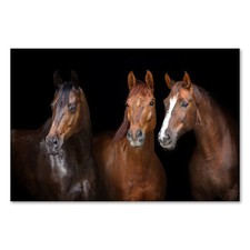 Postereck 3145 Poster Leinwand