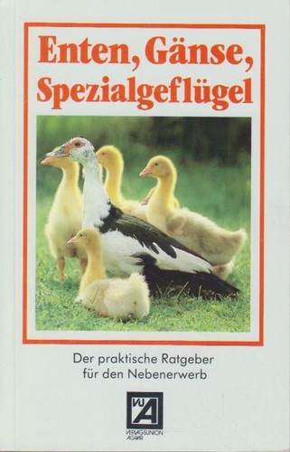 Enten gänse - enten,,