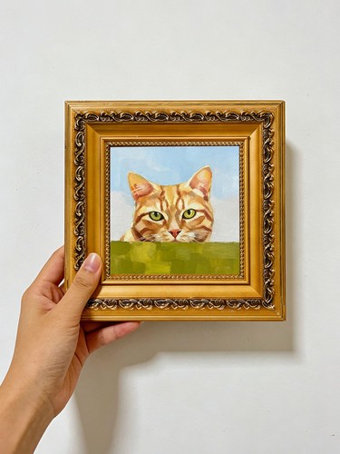 Peeking orange tabby katze - orange,