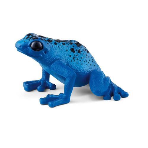 Blauer pfeilgiftfrosch - blauer,