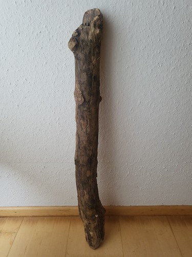 Treibholz wurzel ast brett - treibholz,