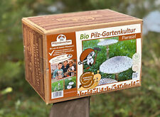 Bio Riesenschirmling Parasol, fertig beimpfte Gartenkultur, Pilzzucht, Pilzbeet 