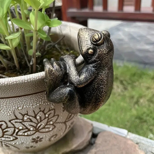 Frosch blumentopf hängende - frosch,