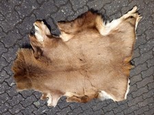 Hirschfell vom Einjährigen, Winterdecke, gegerbt, Wandbehang