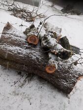 Apfelholz Apfel Stamm basteln Deko drechseln Holz Epoxidharz