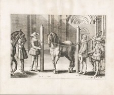 Reitschule riding school Pferd