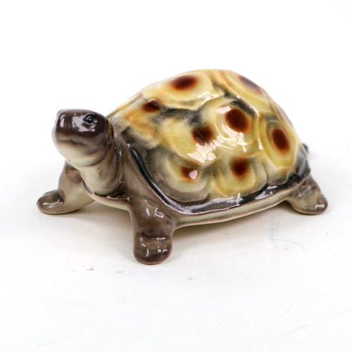 Schildkröte - schildkröte,