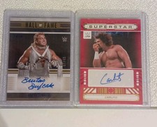 WWE Wrestling Panini