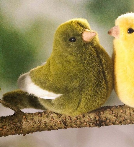 Grüner kanarienvogel von - grüner,