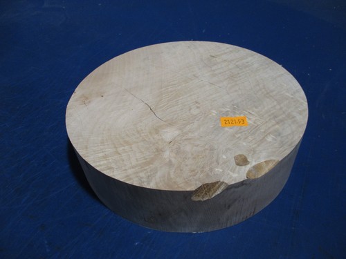 Ahorn drechselholz - ,