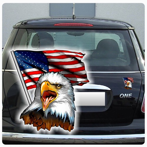 Weißkopfseeadler eagle auto - weißkopfseeadler,