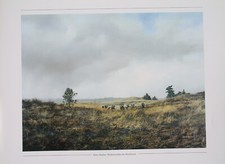 Muffelwild Kunstdruck 40 x 30 cm Jagdmalerei Jagdbild von Hans Bulder