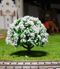 10 weiß blühende Bäume