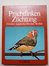Prachtfinken Züchtung
