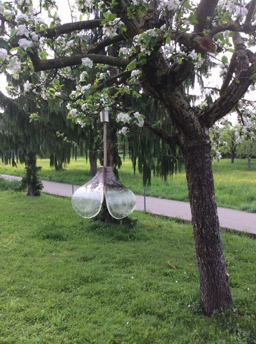 Deckenlampe von carlo nason - carlo,
