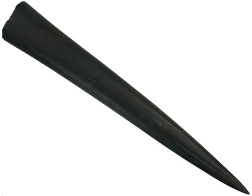 Dogger megateuthis gigantea - ,