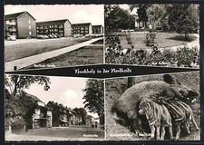 AK Buchholz in der Nordheide, Berliner Straße, Am Rathaus, Poststraße, Wildschw 