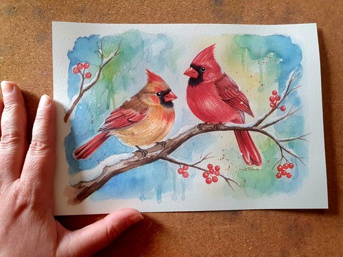 Aquarell kardinal pärchen - kardinal,