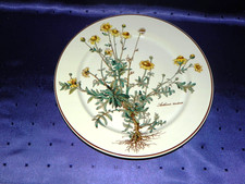 Speiseteller 24 cm vom Villeroy & Boch Botanica II.Wahl Fehler auf Stellrand