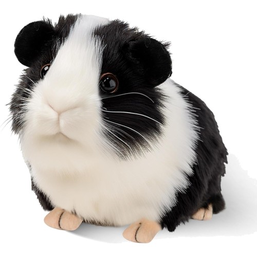 Meerschweinchen kuscheltier - meerschweinchen,