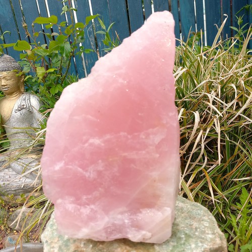 Top farbe rosenquarz rosa - farbe,