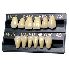 Zähne A3 CAIYU 28 Prothesen