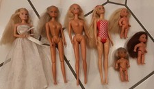 Barbie Puppen Sammlung Konvolut mit Kleidung, Schuhen, Zubehör  und Tieren