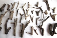 Schwemmholz Treibholz  30