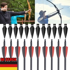 12× Carbonpfeil 30zoll