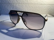 Sunglasses Alpina M1/M6