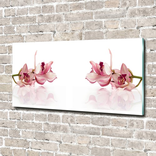 Glas bild wandbilder druck - glas-bild,