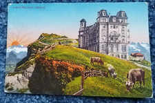 AK CPA postcard Rigi-Kulm Weggis