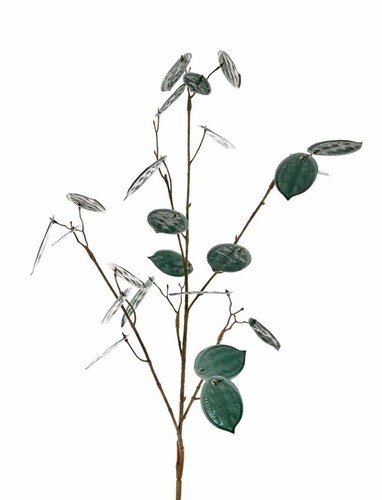 Artplants kunst zweig lunaria - kunst,
