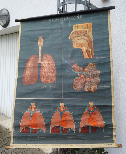Alte schulkarte rollkarte - alte,