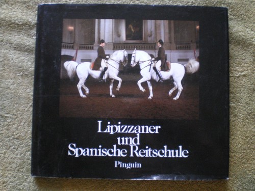 Lipizzaner und spanische - lipizzaner,